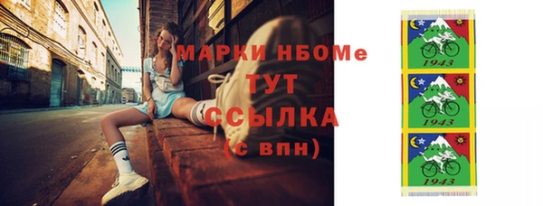 индика Абаза