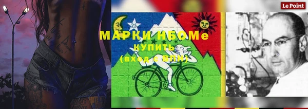 индика Абаза