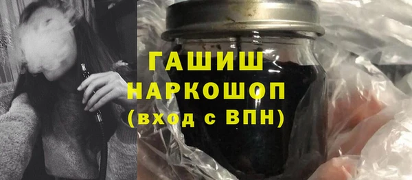 индика Абаза
