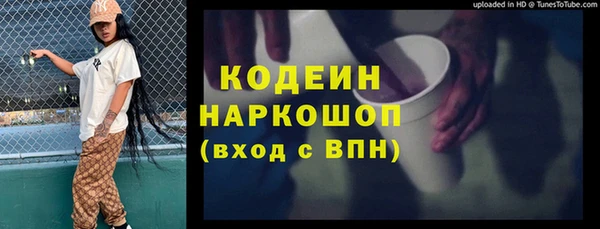 индика Абаза