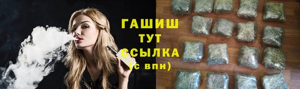 индика Абаза