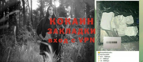 индика Абаза