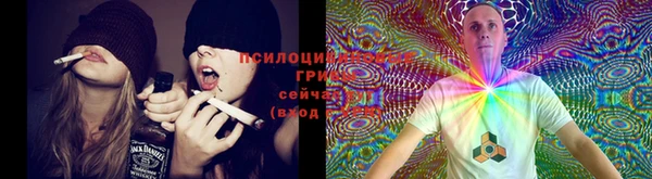 кокаин премиум Осинники
